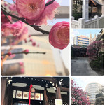 ケーニヒスクローネ くまポチ邸 - 綺麗に撮れました♡