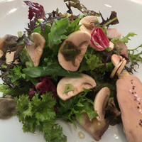 Benoit Alain Ducasse - 