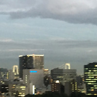 ワカヌイ グリル ダイニング バー 東京 - 