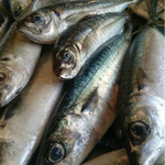 びすと炉　心平゜ - 