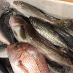 びすと炉　心平゜ - 