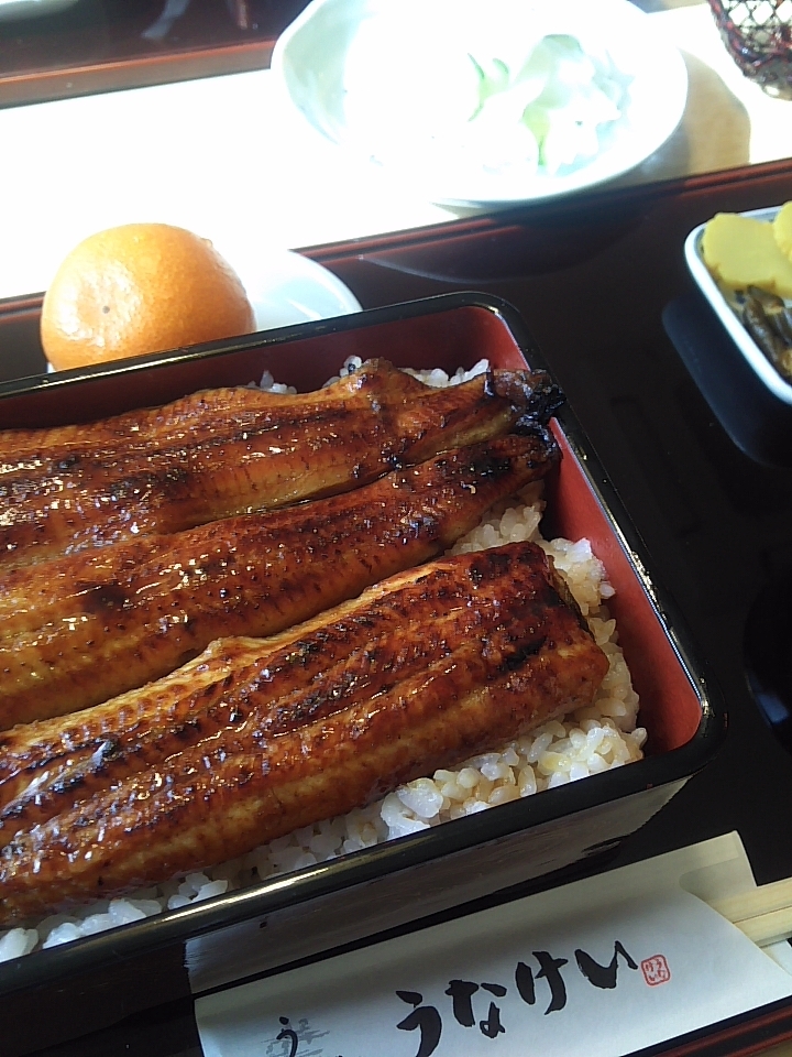 うなぎのうなけい name=