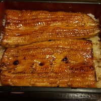 鰻 十和田 - 
