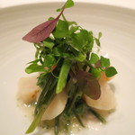 カンテサンス - 