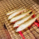 囲炉裏料理わ - 琵琶湖本モロコ