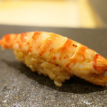 あま木 - 車海老