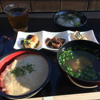 浅草むぎとろ 本店 - 