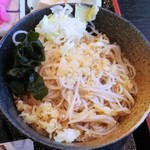 太光庵 - 2016.11.29。冷やしぶっかけそばのアップ。