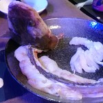 魚食堂 カフェ ミナモ - 
