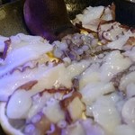 魚食堂 カフェ ミナモ - 