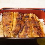 魚竹