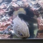 This is 中川 - 一郎さん