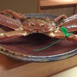 松川 - どすこーーーい