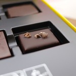 Benoit Nihant Bruxelles - Ixelles  - 