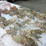 Yok Talay Seafood Buffet - 