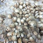 Yok Talay Seafood Buffet - 