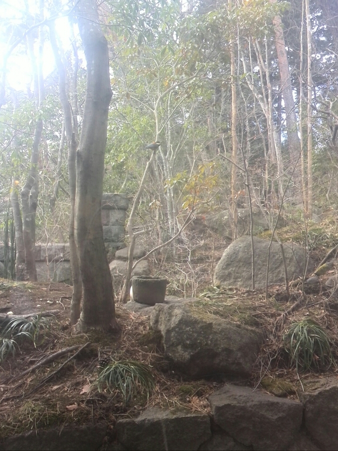 游晏山房 name=