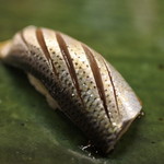 平和寿司 - コハダ