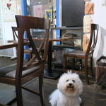 AU GAMIN DE TOKIO table - カフェはワン OK〜♬