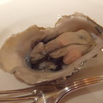 コート ドール - Dec, 2010