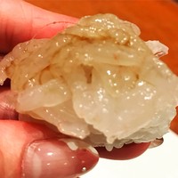 元 - 富山産白えび   甘くて濃厚(*^_^*)