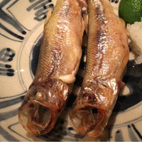 二条有恒 - ハタハタ
                デカイ！