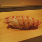 鮨 あらい - 車海老