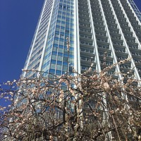 ザ・プリンス パークタワー東京 - 