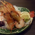 北海道応援隊　きたいち酒場   - 北海道産特大ぼたん海老　1尾　680円