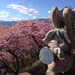 肉の石川 - 西平畑公園の木彫りの天使と河津桜