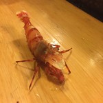 郷土料理 おが - ゴジラ海老！