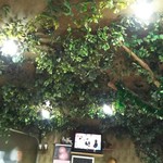 西口 - モジャな店内