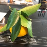 ル ボークープ - 