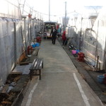 館山いちご狩りセンター - 