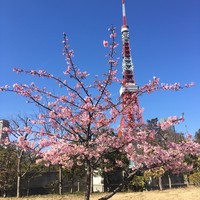 ザ・プリンス パークタワー東京 - 