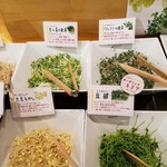 ちこり村 - サラダもスプラウト類が豊富です