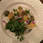 organ - サヨリのカルパッチョ　金柑とフェンネルの風味