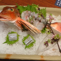 瓢嘻 八重洲店 - 造り（ほうぼう姿造りと細魚）