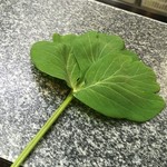 みょうが屋 - サクナ 強烈