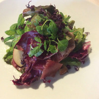 Cucina Italiana 東洞 - 前菜、パルマ産生ハム、インサラータミスタ❓