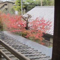 菊乃井 本店 - 2階から紅葉をパチリ