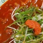 中華そば 正太郎 - 鬼平ラーメン（十丁目・アップ）