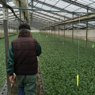 野菜とお肉の鉄板バル 333_0