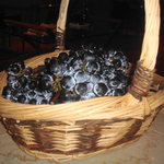 時の雫 - カベルネ種のぶどう