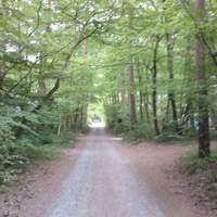 BON VIVANT - 