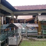 Mekong Rest Stop - 水槽に魚がたくさん