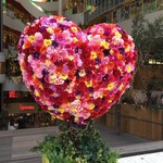 家全七福酒家　SEVENTH SON RESTAURANT - 花で、ハート♡