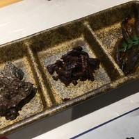 柳家錦 - 