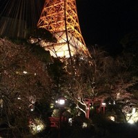 東京 芝 とうふ屋うかい - 