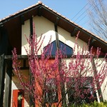 アルバトロス - 